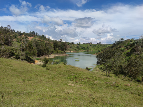 Lote En El Peñol Con Embalse Vereda La Magdalena