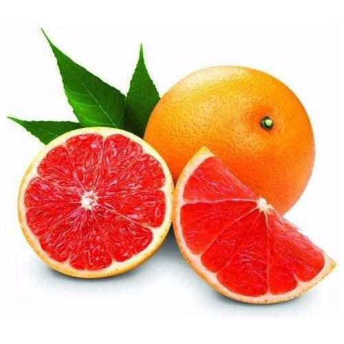 Muda De Laranja Sanguínea Vermelha Enxertada 60cm