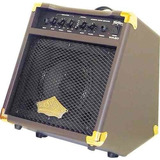 Amplificador Washburn Wa30 Para Guitarra De 30w
