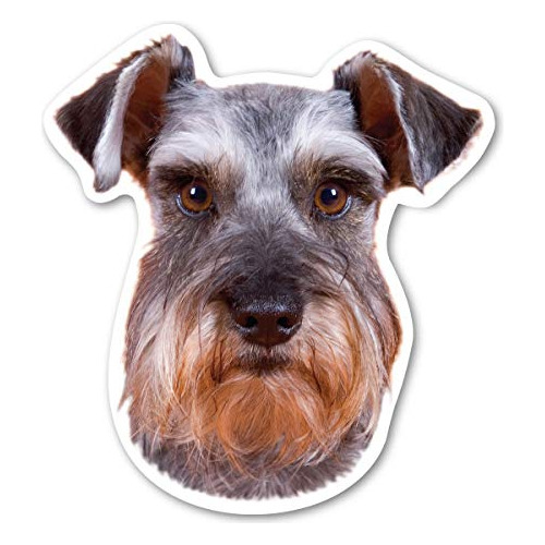 Imán Schnauzer Miniatura