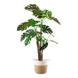 Planta  Artificial Interior Grande Costilla  Adán 1.49 Mts 