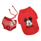 Pack Sudadera Shorts Perro Raza Chica Mascota Mickey