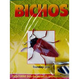 Coleccion Bichos Escarabajo Joya, Rba Nuevo
