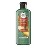 Herbal Essences Bio: Renew Potent Aloe + Mango Acondicionad.