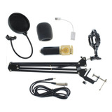 Kit Microfono Condensador Con Antipop Brazo Y Tapa De Espuma
