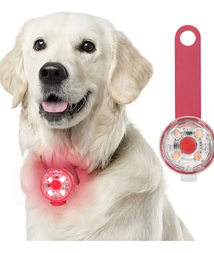 Collar Con Luz Led Carga Usb Perros Gatos