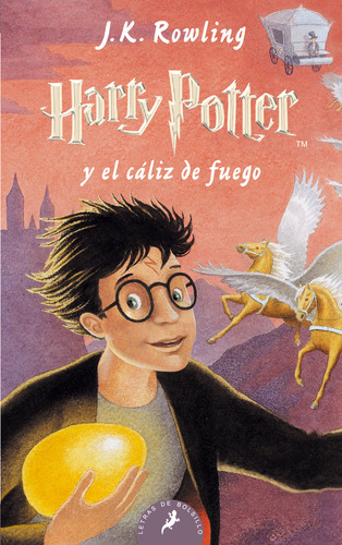 Libro Harry Potter Iv El Caliz De Fuego Bolsillo