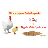 Alimento Para Pollo De Engorda + Regalo