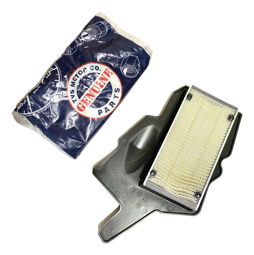 Filtro De Aire Tvs Raider 125 Original Tvs