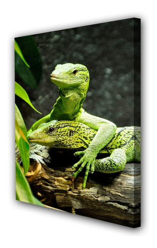 Cuadro 50x75cm Iguana Reptil Lagartija Fauna M1