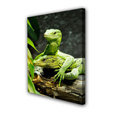 Cuadro 50x75cm Iguana Reptil Lagartija Fauna M1