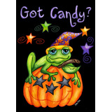 119681 Toad Candy - Bandera De Halloween De 12 X 18 Pulgadas