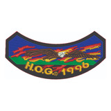 Patch Bordado Hog 1996 Harley Davidson Anual Hdm1996l144a070