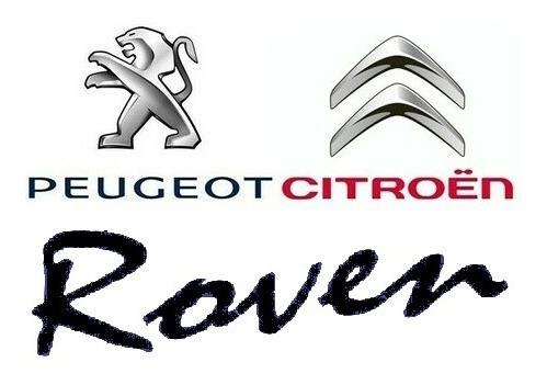 Radiador Peugeot 206 1.9 Diesel Foto 2