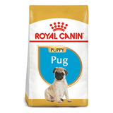 Alimento Royal Canin Pug Puppy Breed Health Nutrition Para Perro Cachorro De Raza Pug En Bolsa De 3 Kg