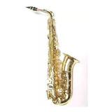 Saxo Alto Parquer Custom Incluye Estuche. 