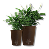 Kit 2 Vasos Plantas Decorativo Redondo Grafiato Jardim N2+n3