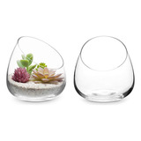 Mygift Mini Terrario De Cristal Transparente De 5 Pulgadas,