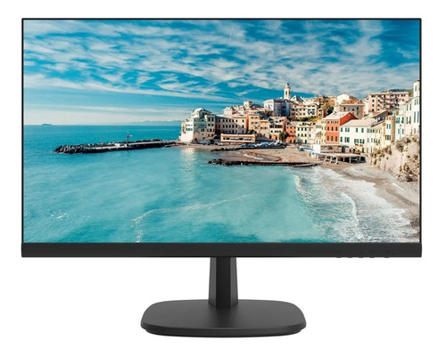 Monitor Hikvision Led Fhd 23.8 Vga Hdmi Ds-d5024fn Negro