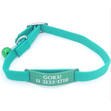 Chapita Gato Color Verde Pasador + Collar 1 Cm Elastizado