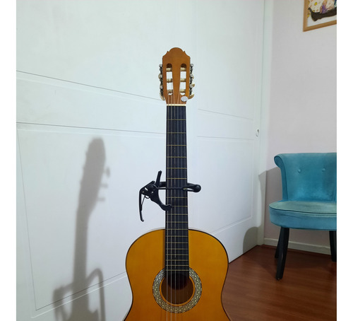 Guitarra Acústuca, Scorpion Usa, Color Naranja Claro