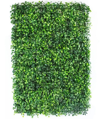 Muro Verde Artificial Kit 20 Boxwood Sintentico 60x40 Cm