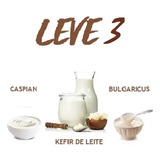 Leve 3 - Kefir De Leite Csy Bulgaricus ( Tag Iogurte )