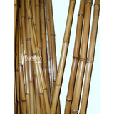 2 Varas De Bambú Naturales Olha 130 Cm Largo / 3 Cm Grosor