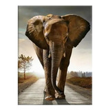 Quadro Decorativo Grande Elefante Africano Gigante Safári