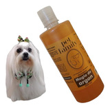 Shampoo Magia Do Argan Cães E Gatos Profissional 500ml Pet