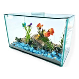 Aquário 4,5l Decorado Retangular 25x12x15cm Peixe Água Vidro