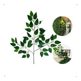 Kit 120 Galhos Folhagem Decorativa Ficus Artificial Premium