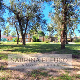 Terreno En  Barrio Alvarez Del Bosque