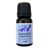 Aceite Esencial Eucalipto Orgánico Puro 10 Ml