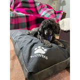 Colchon Cama Perros Grandes Antidesgarro Premium Impermeable