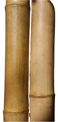 Caña De Bambú/tacuara Gigante , Tutores, 2 Mts- 1 Unidad.  