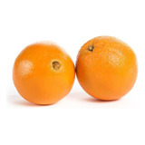 Naranja Navel Amarilla Injerto Pregunte Costo De Envio