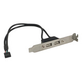 Espelho Placa Mãe Usb 2.0 2 Portas Traseiro Gabinete Atx