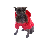 Sudadera Deportiva Rojo Perro Talla 8 Felpa Pet Pals