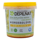 Cera Hidrossolúvel Erva Doce Depilnat - 300g