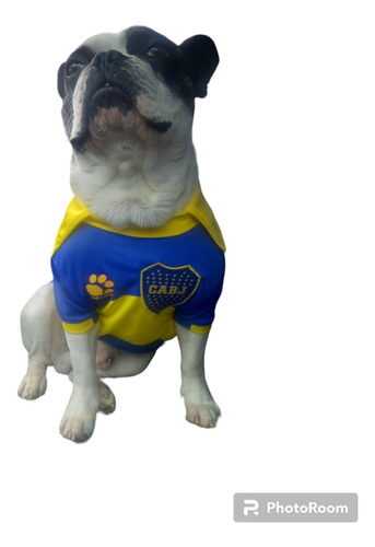 Camiseta Boca Juniors Perro Bulldog  Estampa Nombre Y Nro