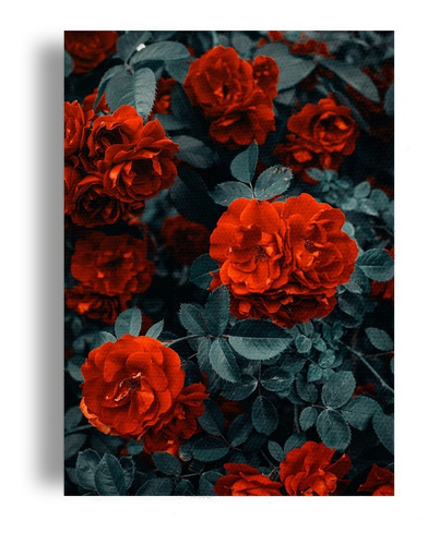 Cuadro Decorativo Canvas Jardin De Rosas Rojas Flores 50*60