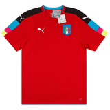 Jersey Selección De Italia Portero 2017 Puma 749006 