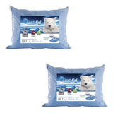 Kit Com 2 Travesseiros Frostygel - Toque Gelado