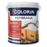Membrana Pasta Poliuretanica Transitable 10k Colorin Verrina
