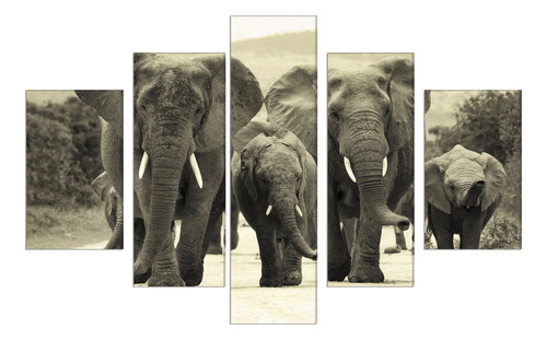 Set De 5 Cuadros Canvas Elefantes Familia 114x185cm
