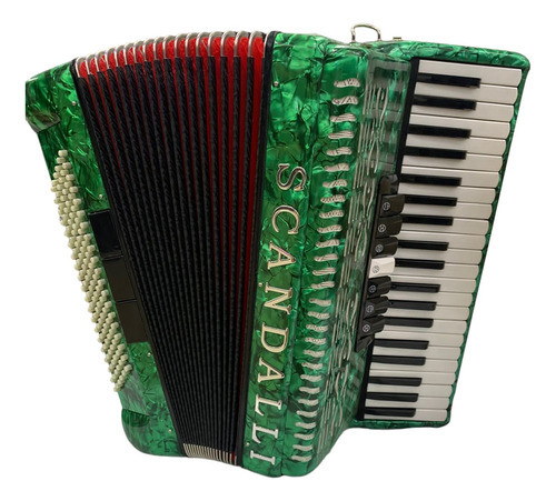 Acordeon 120 Baixos Com Estojo E Correias