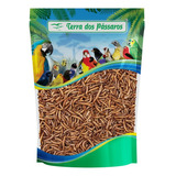 Larvas De Tenébrio Comum Desidratada - Pequeno - 50g