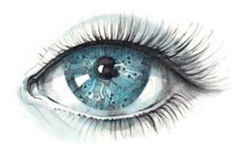 Vision Protector Ocular Antioxidante Arandano Para Ojos X4