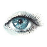 Vision Protector Ocular Antioxidante Arandano Para Ojos X4